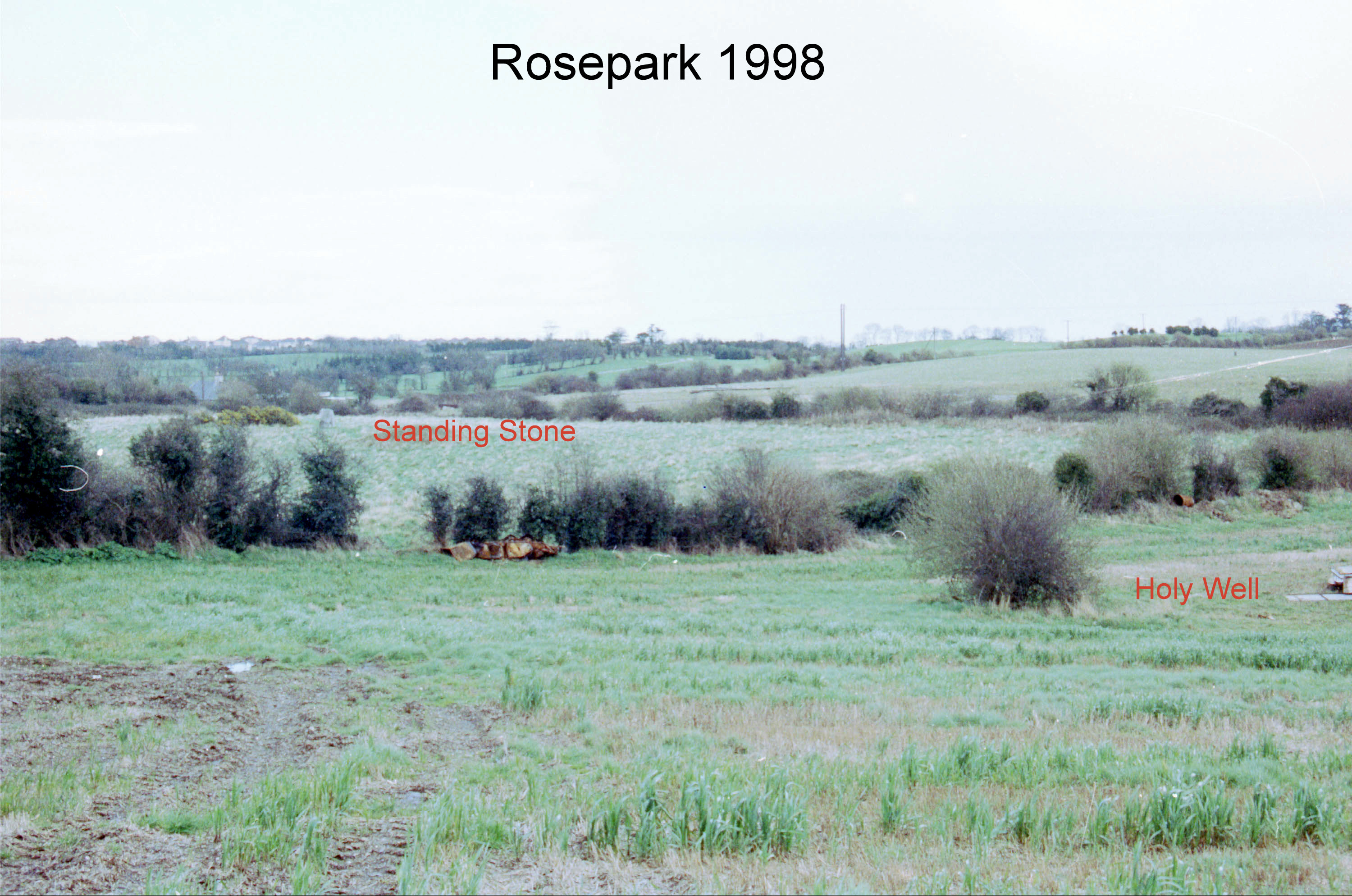 Rosepark View 1998